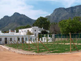 clients St Ronans Estate Cape Town